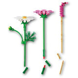 LEGO Botanicals Kosmeen, Bygge legetøj 