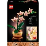 LEGO Botanicals Mini-orkidé, Bygge legetøj Byggesæt, 18 År, Plast, 274 stk, 366 g