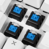 Sharkoon SKILLER SGK3 tastatur USB QWERTY Engelsk Hvid, Gaming-tastatur Hvid, Amerikansk layout, Kailh blå, Fuld størrelse (100 %), USB, Mekanisk, QWERTY, RGB LED, Hvid