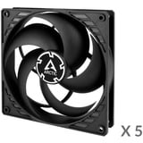 ARCTIC P14 Value Pack Computerkabinet Ventilator 14 cm Sort, Sag fan Sort, Ventilator, 14 cm, 1700 rpm, 0,3 blæser, 72,8 kubikfod/min., 123,76 m³/t
