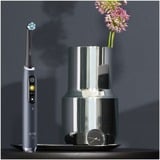 Braun Oral-B iO Series 9 Luxe Edition, El-tandbørste Sort
