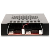 DeLOCK 3,5″ udskiftningsramme til 2 x M.2 NVMe SSD, Indramning 