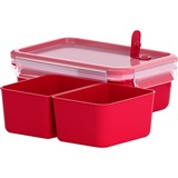 Emsa 517774 enhed til madopbevaring 1 L Rød, Transparent 1 stk, Boks Rød, 1 L, Rød, Transparent, Polypropylen (PP), Termoplastisk elastomer (TPE), Tyskland, 135 mm, 195 mm