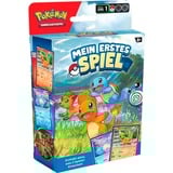 Pokémon 45513, Kort 