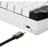 Sharkoon SGK50 S4 tastatur USB QWERTY Spansk Hvid, Gaming-tastatur Hvid/Sort, ES-layout, Kalih rød, 60%, USB, QWERTY, RGB LED, Hvid