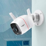 TP-Link TC65, Overvågningskamera Hvid/Sort