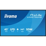 iiyama Offentlig visning Sort (mat)