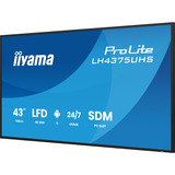 iiyama Offentlig visning Sort (mat)