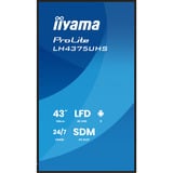 iiyama Offentlig visning Sort (mat)