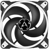 ARCTIC BioniX P120 Computerkabinet Ventilator 12 cm Sort, Hvid, Sag fan Sort/Hvid, Ventilator, 12 cm, 2100 rpm, 25,5 dB, 67,56 kubikfod/min., 114,79 m³/t