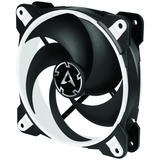 ARCTIC BioniX P120 Computerkabinet Ventilator 12 cm Sort, Hvid, Sag fan Sort/Hvid, Ventilator, 12 cm, 2100 rpm, 25,5 dB, 67,56 kubikfod/min., 114,79 m³/t