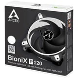 ARCTIC BioniX P120 Computerkabinet Ventilator 12 cm Sort, Hvid, Sag fan Sort/Hvid, Ventilator, 12 cm, 2100 rpm, 25,5 dB, 67,56 kubikfod/min., 114,79 m³/t
