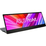 ASUS LED-skærm Sort