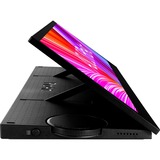 ASUS PA147CDV, LED-skærm Sort