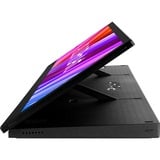 ASUS PA147CDV, LED-skærm Sort