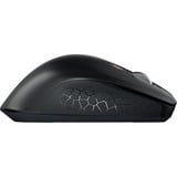 CHERRY JW-8550-2 mus Universel Højre hånd RF trådløst Optisk 4000 dpi Sort, Højre hånd, Optisk, RF trådløst, 4000 dpi, Sort, Grå