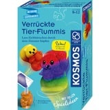 KOSMOS 658267, Eksperiment boks 