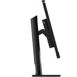 Lenovo ThinkVision T27hv-30 computerskærm 68,6 cm (27") 2560 x 1440 pixel Quad HD LED Sort, LED-skærm Sort, 68,6 cm (27"), 2560 x 1440 pixel, Quad HD, LED, 6 ms, Sort