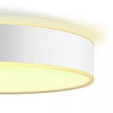 Philips Hue White Ambiance Enrave loftlampe L, LED lys Hvid