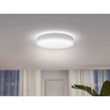 Philips Hue White Ambiance Enrave loftlampe L, LED lys Hvid