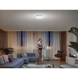 Philips Hue White Ambiance Enrave loftlampe L, LED lys Hvid