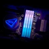 ADATA AX5U6000C4816G-DTLABRBK, Hukommelse Sort