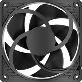 ARCTIC Sag fan 
