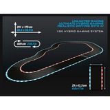Carrera 50050001, Racerbane 