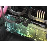 Corsair Hydro X Series XG5 RGB 5090 ASTRAL GPU-vandblok, Vandkøling 
