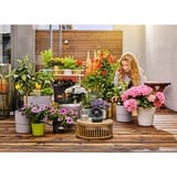 GARDENA Solvandsingsanlæg AquaBloom sæt, inkl. vandbeholder, Kunstvanding styring grå