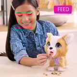 Just Play Poop-a-lots Corgi, Plysdyr Dreng/Pige, 4 År, Klingende