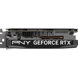 PNY GeForce RTX 5050 Enkelt Blæser, Grafikkort 