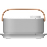 Sony SRS-LSR200 Bærbare højttalere og festhøjttalere Hvid Hvid, Kabel & trådløs, USB Type-C, Hvid, Knapper, IPX2, TV