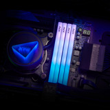 ADATA AX5U6000C3616G-DTLABRBK, Hukommelse Sort