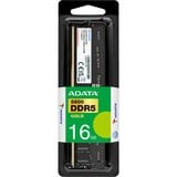 ADATA Gold hukommelsesmodul 16 GB 1 x 16 GB DDR5 5600 MT/s 288-pin DIMM Sort, 16 GB, 1 x 16 GB, DDR5, 288-pin DIMM