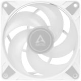 ARCTIC P14 PWM PST A-RGB, Sag fan Hvid