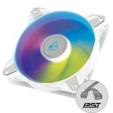 ARCTIC P14 PWM PST A-RGB, Sag fan Hvid