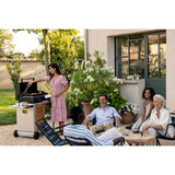 Campingaz Grillplade Sort