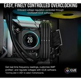 Corsair Hukommelse Sort
