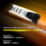 Patriot Solid state-drev Sort/Hvid