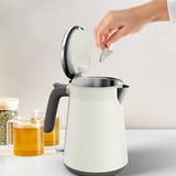 Tefal Rustfrit stål, Kedel Beige/rustfrit stål