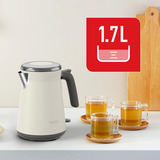 Tefal Rustfrit stål, Kedel Beige/rustfrit stål