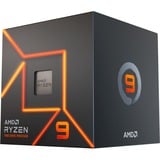 AMD Ryzen™ 9 7900, Processor boxed