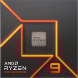 AMD Ryzen™ 9 7900, Processor boxed