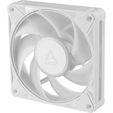 ARCTIC BioniX P12 A-RGB, Sag fan Hvid/Hvid