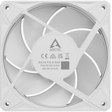 ARCTIC BioniX P12 A-RGB, Sag fan Hvid/Hvid