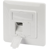 Digitus Frontplade + monteringsramme til multimedia/Keystone, Frontpanel Hvid