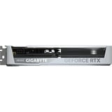 GIGABYTE Grafikkort 