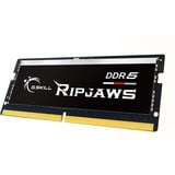 G.Skill F5-5600S4040A16GX2-RS, Hukommelse Sort