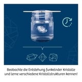 KOSMOS 645601, Eksperiment boks 